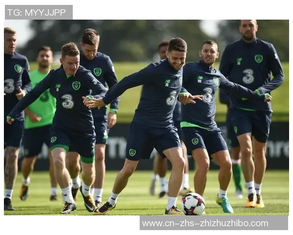 爱尔兰与格鲁吉亚足球对决精彩回顾与战术分析